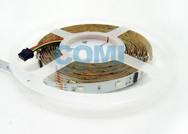 미터당 30개의 LED/10개의 화소로 가동 가능한 DMX512 디지털 방식으로 LED 지구 빛