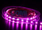 5050 LED 스트립 조명 핑크 색상 25000K, 12/24 볼트 Led 라이트 스트립 12mm FPC